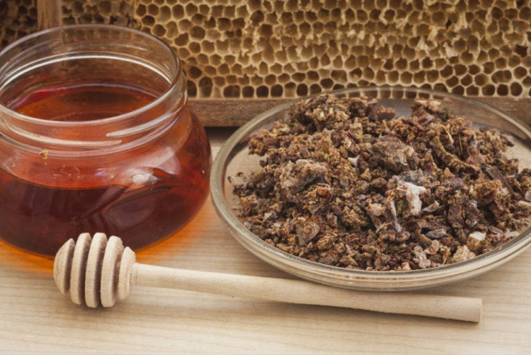 ( Propolis ) Dacă aveți probleme dentare, probleme respiratorii, amigdalită sau herpes, trebuie să citiți acest remediu simplu!