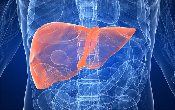 RECUPERARE DUPĂ ADMINISTRAREA ANTIBIOTICELOR. REȚETE NATURISTE.