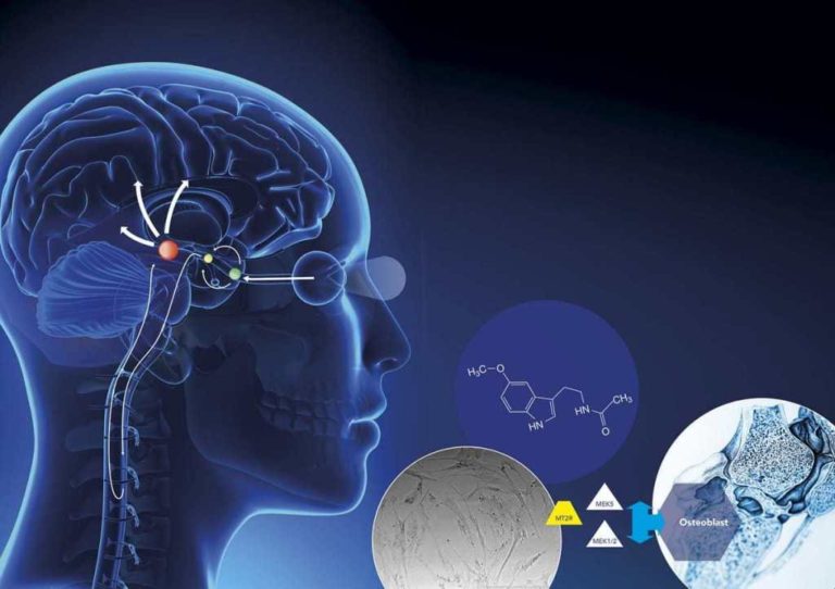 Melatonină pentru somn?