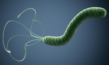 Cele mai eficiente metode pentru a scăpa de helicobacter pylori