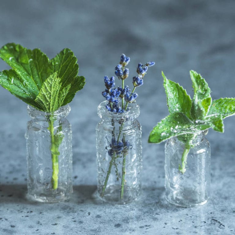 Puterea ierburilor Aromatice : Ce tratează Salvia, Rozmarin-ul, Oregano și Cimbru