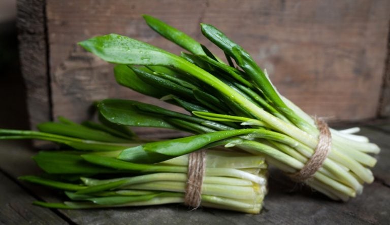 Leurda (Usturoiul Sălbatic)-Un depozit de vitamine utile