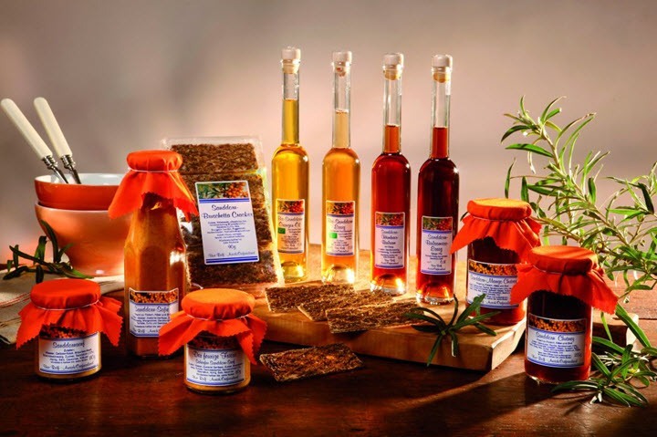 Cele mai puternice antibiotice Naturale – Proprietăți antiinflamatorii și antibacteriene. Darurile naturii