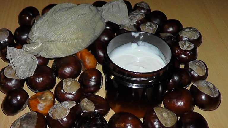 Beneficiile Castanului – Retete ținctura și unguente