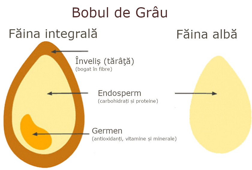 https://madein.md/upload/00_mi/0000_brancusi/bobul_de_grau.png