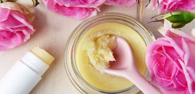 Ceara De Albine – Proprietăți Utile – Aplicarea În Medicina Populară – Informații Generale