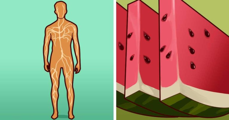 Iubești Pepenele verde? Atunci trebuie să știi toate beneficiile, ce efect are asupra Tensiunii / Pielii / Inimii