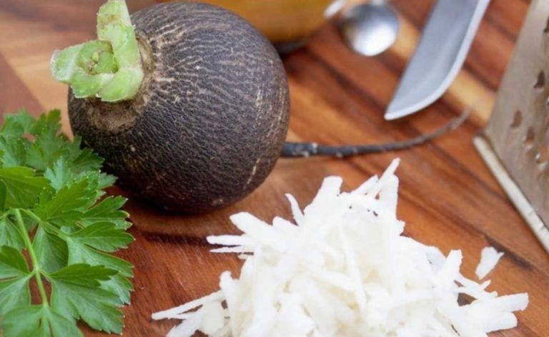 Ridichea neagră tratează diabetul și salvează de la edem: 12 rețete eficiente!